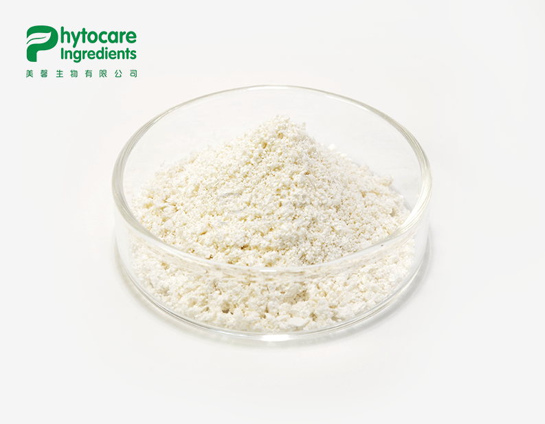 Ampelopsis grossedentata Powder Extract